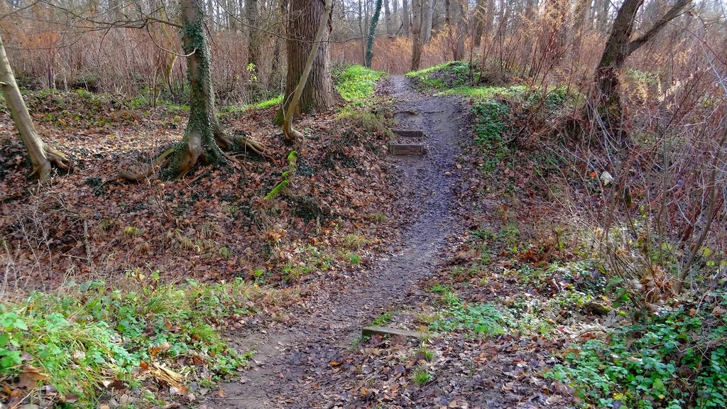 nakedinthewoods_.jpg