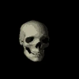 💀 Skull Badge 💀