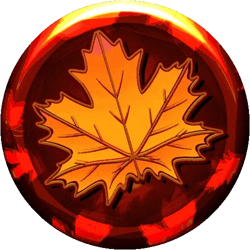 🍁 Canadian Cadre Hidin'🍁